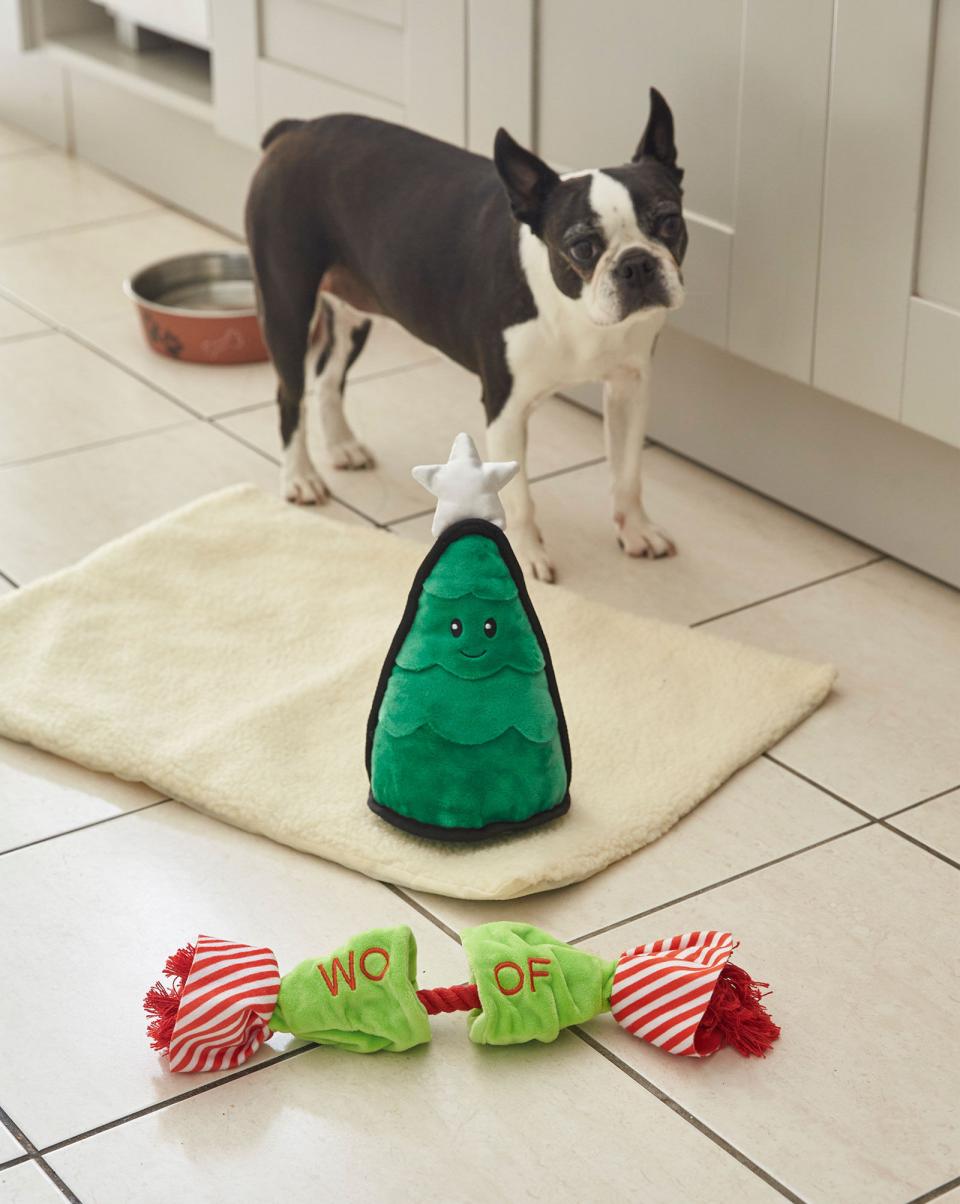 Home 2 Pack Festive Dog Toy Cotton Traders Pet Accessories Multi Refresh - 1