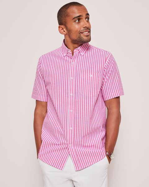 Cotton Traders Men Shirts Hot Pink Effective Short Sleeve Classic Seersucker Shirt