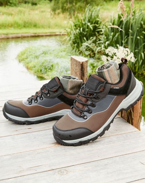 Men Shoes Brown Adventurer Waterproof Walking Shoes Lowest Ever Cotton Traders