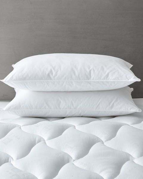 Closeout Home Cotton Traders Duvets Pillows & Protectors Pair Of Feels-Like-Down Pillows White