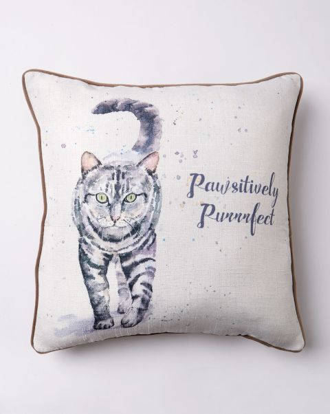Multi Modern Soft Furnishings Cotton Traders Home Pawsitively Purrfect Cushion