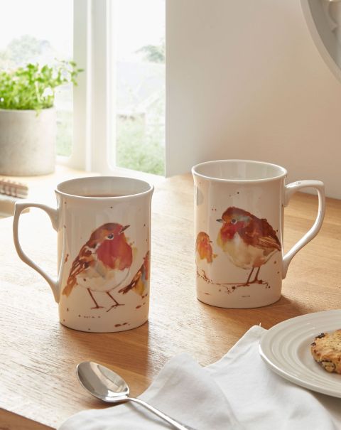 Set Of 2 Mugs Cotton Traders Home Robin Limited Tableware