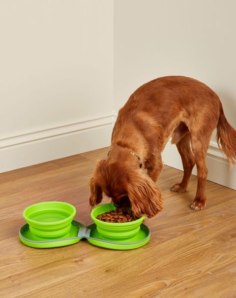 Cotton Traders Green Pet Accessories Discount Extravaganza Home Collapsible Dual Pet Bowls