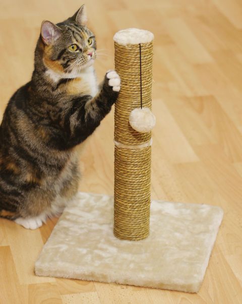 Wholesome Home Natural Cotton Traders Cat Scratcher Pet Accessories